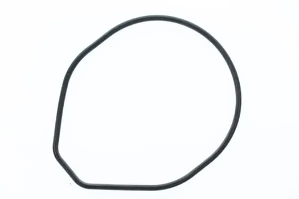 Honda 91356-ZW1-B00 O-ring vannpumpe original