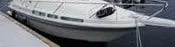 Agder Boat Scand 7800 Tropic kabinvindu grønn komplett